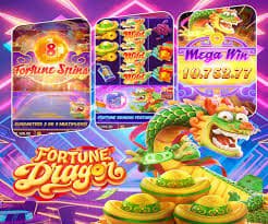 dewivip account dashboard with Togel section